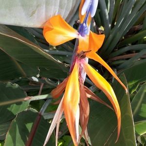 Meet your Posher, C.